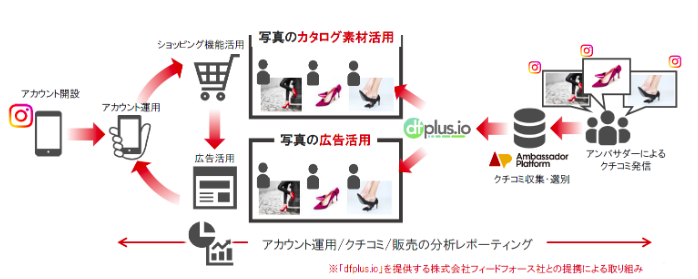 dfplus.io