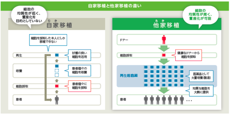 他家移植 対 自家移植