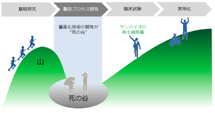 量産化および流通・販売について