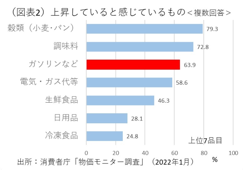 『第一生命経済研究所』より引用