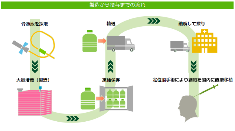 製造から投与までの流れ