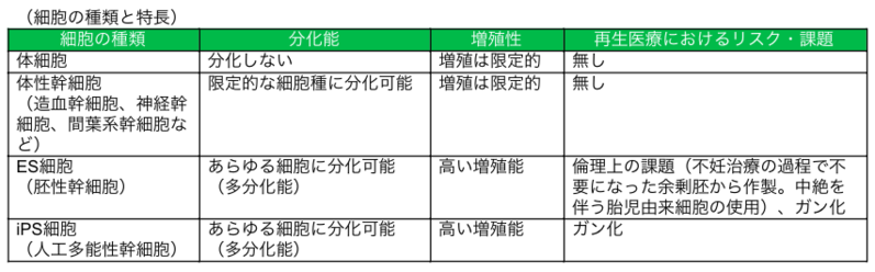 細胞の種類と特長