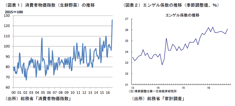 野菜価格高騰の波